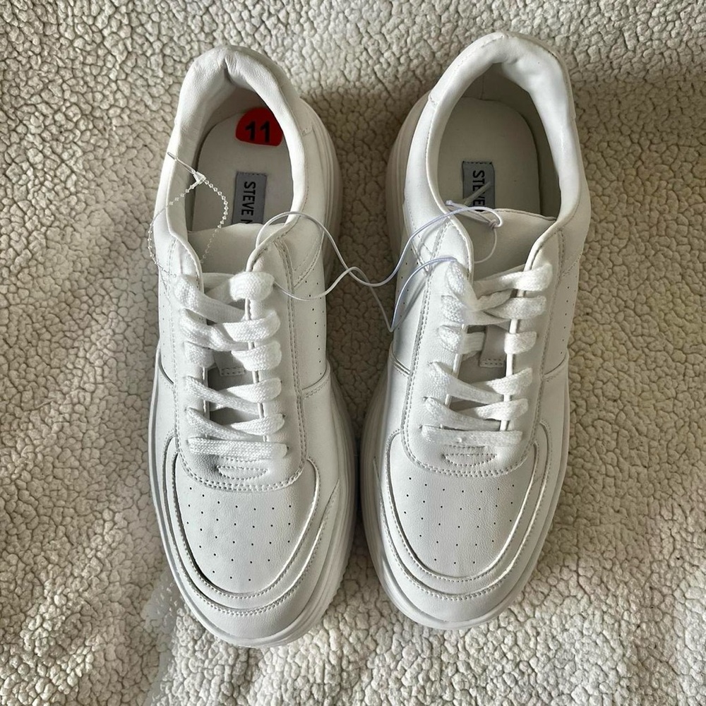 Steve Madden Perrin Sneaker